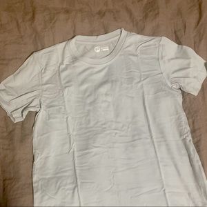 Ultrafine Merino Tshirt in Gray Light